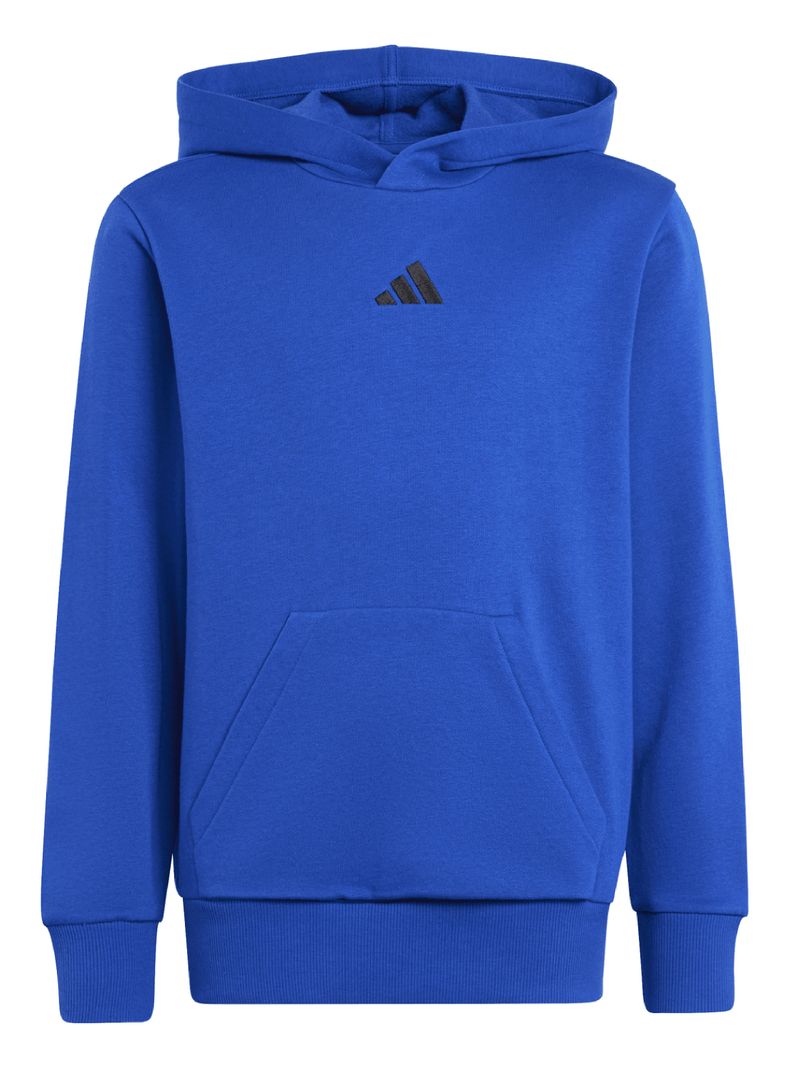 Polerón Infantil Hoodie-5