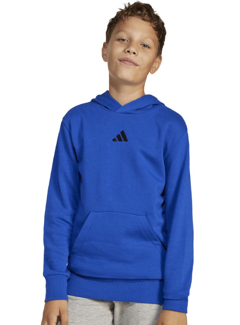 Polerón Infantil Hoodie-0