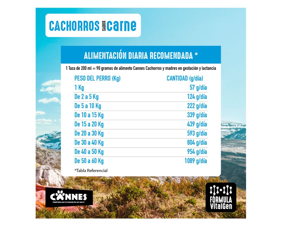 Alimento cachorro 3 kg raza mediana grande carne leche Cannes-2