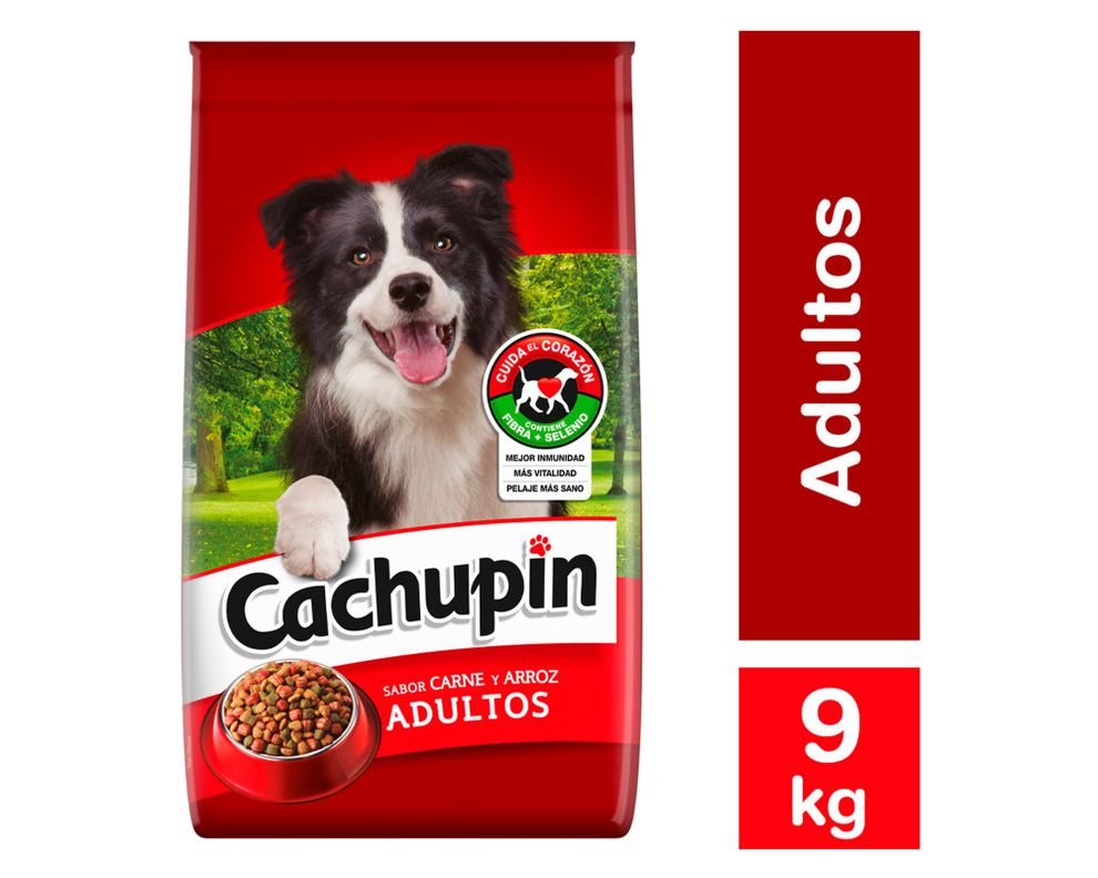 Alimento perro 9 kg Premium carne arroz Cachupin-0