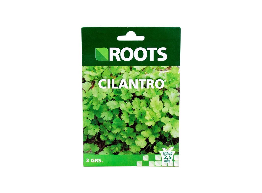 Semilla cilantro común 3gr Roots-0