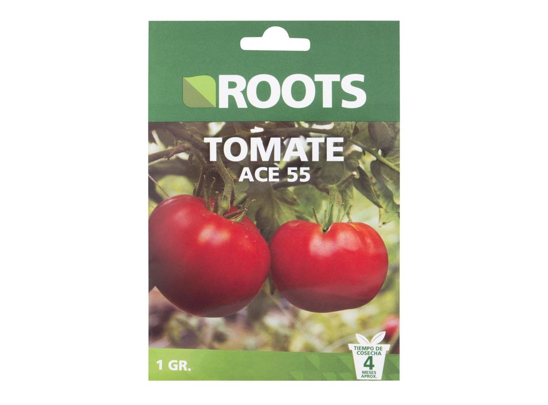 Semilla tomate ace 55 Roots-0