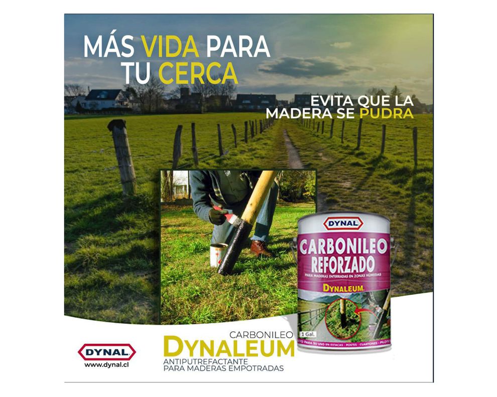 Protector madera 1 galón Dynaleum-L Dynal-3