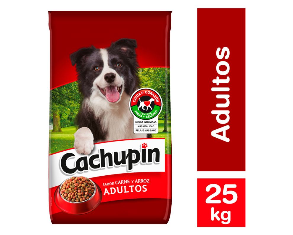 Alimento perro 25 kg Premium carne y arroz Cachupin-0
