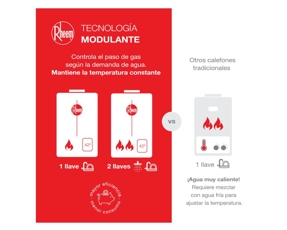 Calefont ionizado tiro forzado 14 litros gas licuado Modulante Rheem-4