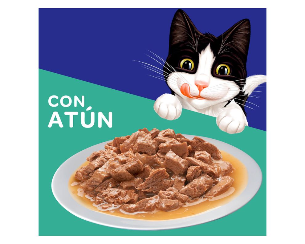 Alimento húmedo gato 85 gr atún en salsa Felix-2