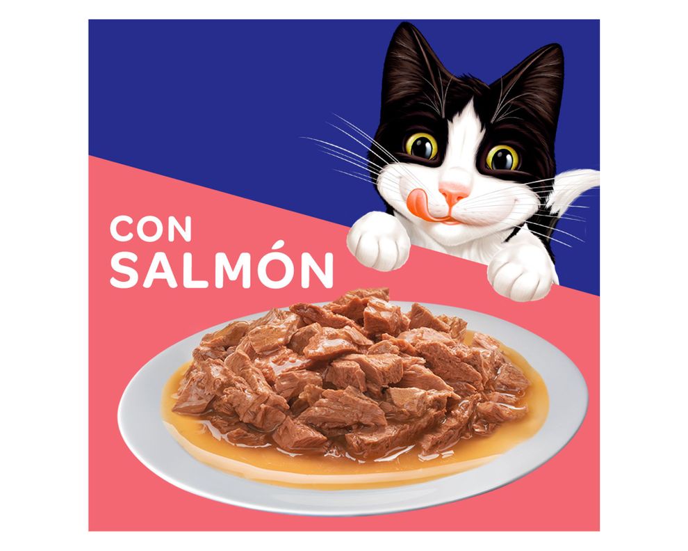 Alimento húmedo gatos 85 gr Sensaciones salmónFelix-2