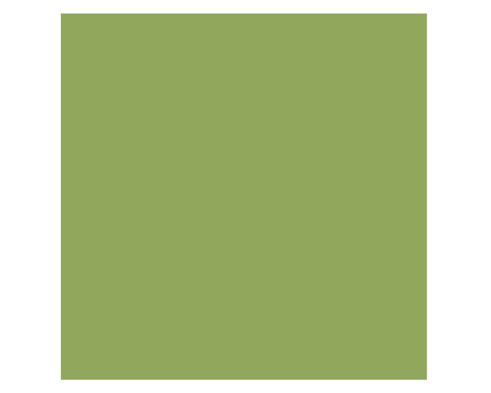 Pintura 130 ml Chalky look bamboo mate Fleur-1