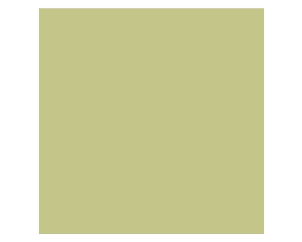 Pintura 750 ml Eggshell veranda green semi satín Fleur-3