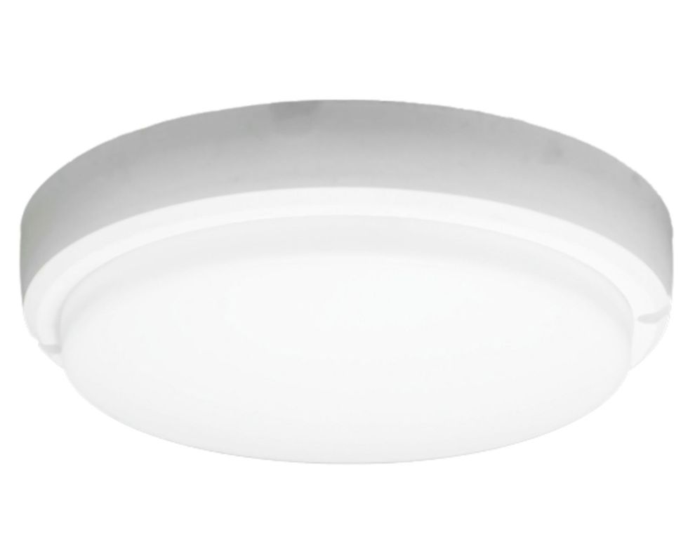 Foco tortuga LED luz Día 12W IP54 LB-0