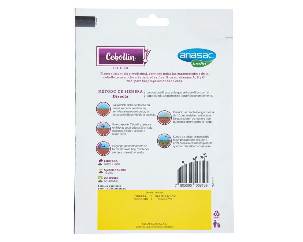 Semilla cebollin 1 gr Anasac-2
