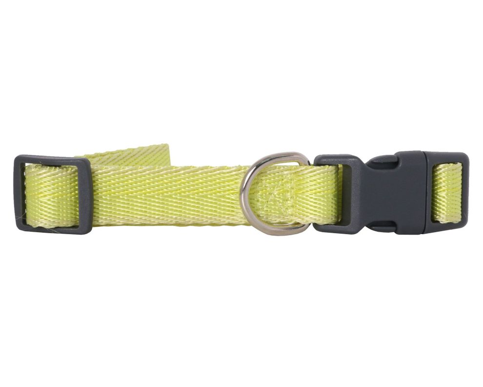 Collar perro M liso Pet's fun-8