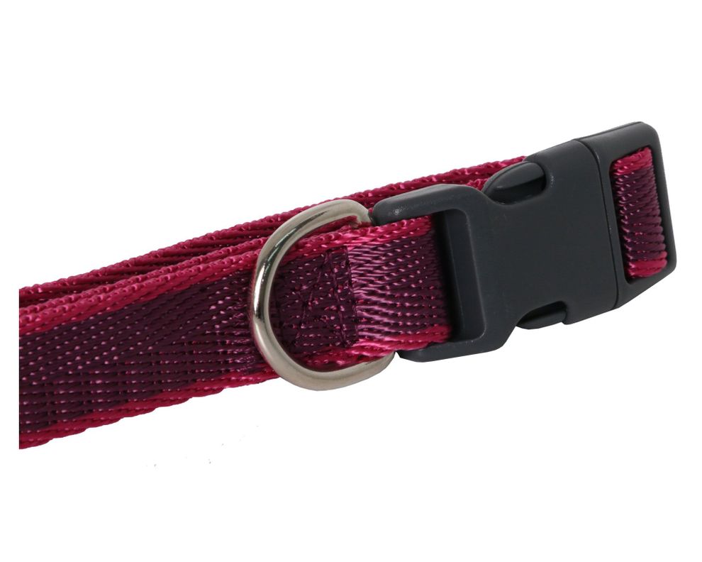Collar perro M liso Pet's fun-2