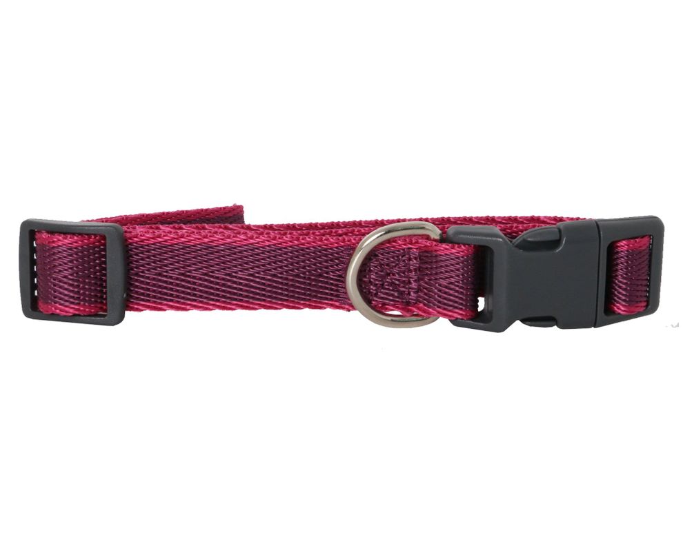 Collar perro M liso Pet's fun-0