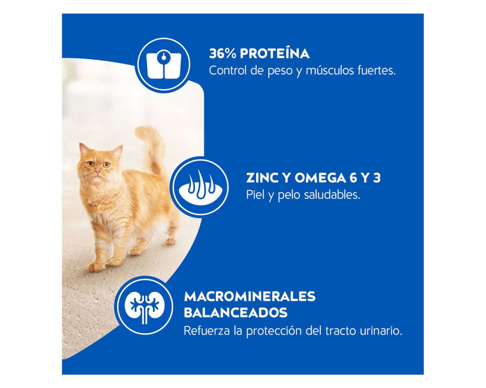 Alimento seco gatos 1 kg esterilizado Cat Chow-5