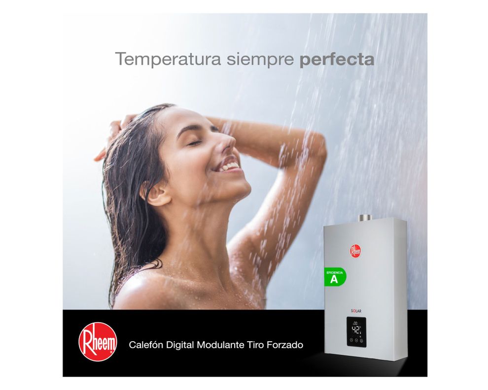 Calefont tiro forzado 10 litros Prestige gas licuado-3