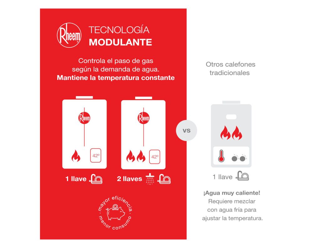 Calefont tiro forzado 10 litros Prestige gas licuado-4