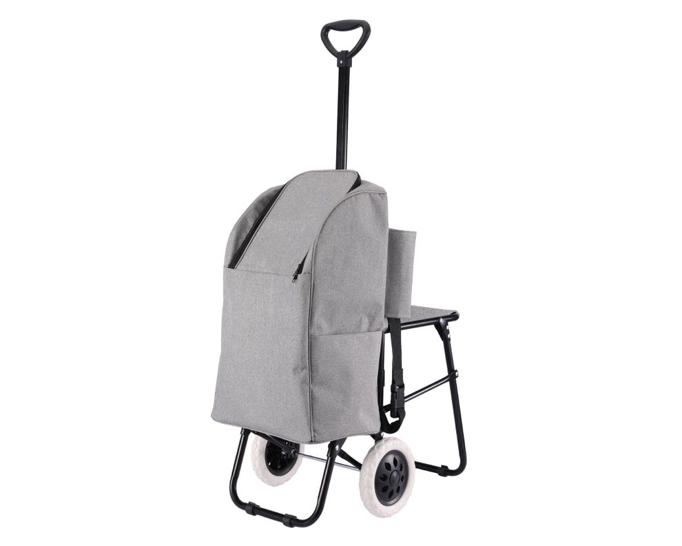 Carro de compras 20 kg Premium Cotidiana.-0