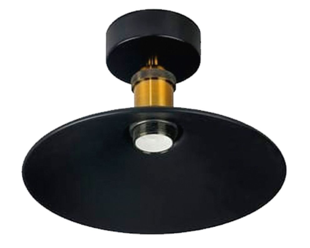 Lámpara colgar 1L E27 Campana industrial Vintage Pro-Lighting-0