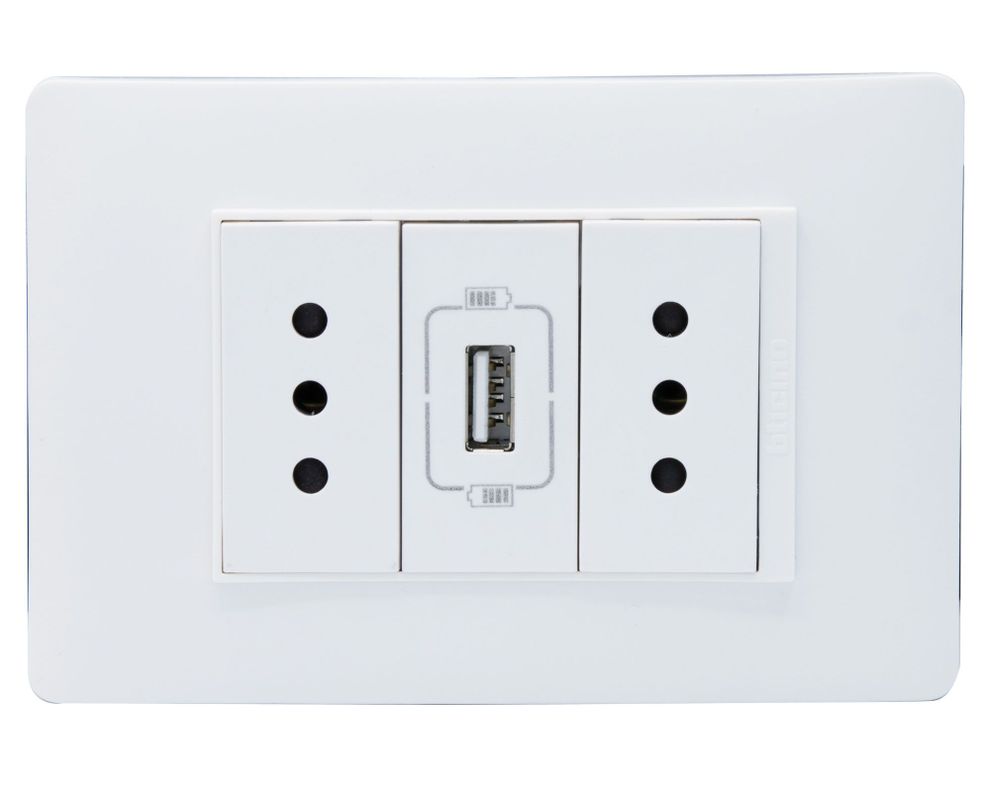 Cargador 10A 2 tomas +USB luzica blanco Bticino-0
