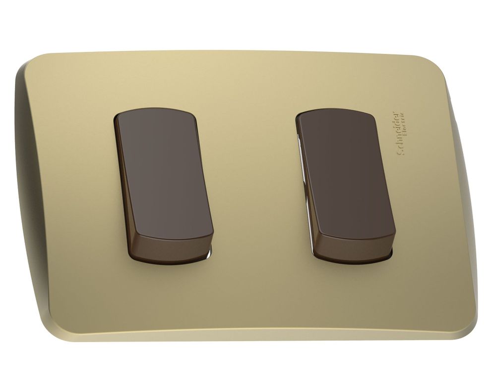 Placa armada con interruptor doble 16A 9/15 dorado Schneider-0
