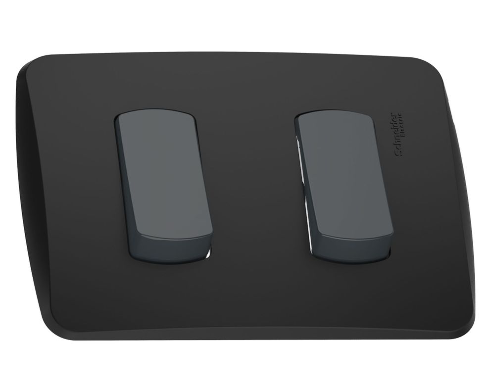 Placa armada con interruptor doble 16A 9/15 Miluz grafito Schneider-0