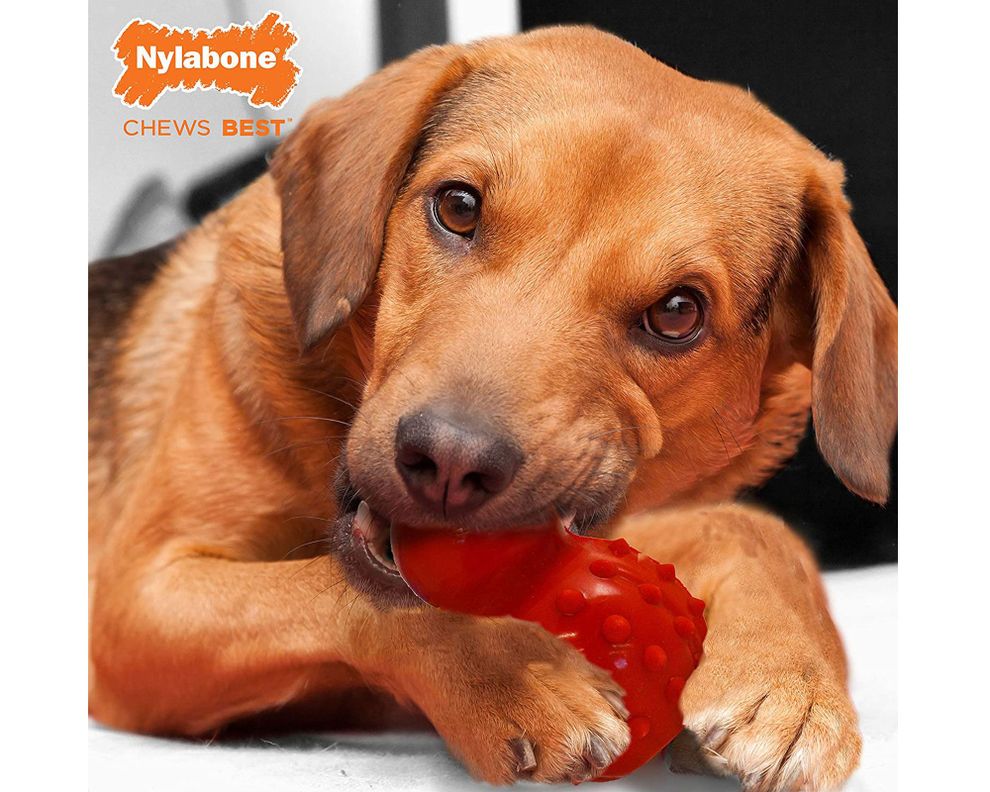 Juguete para perros cono saborizado Nylabone-1