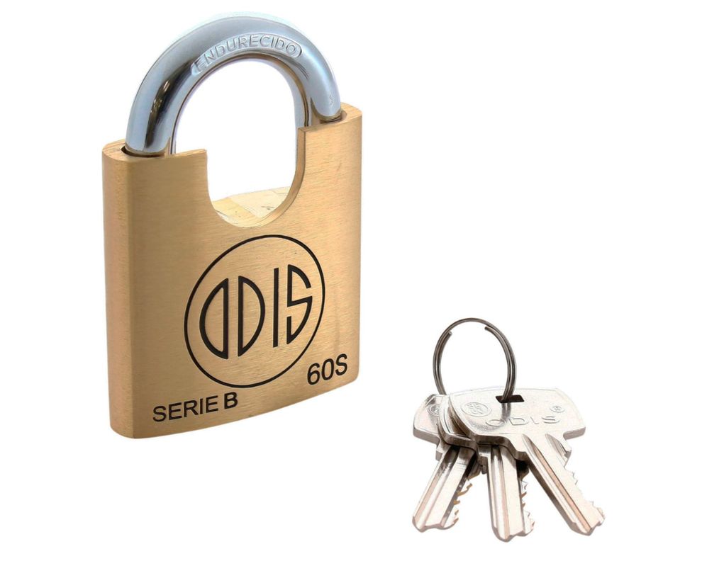 Candado seguridad exterior bronce 60mm B60S Odis-1