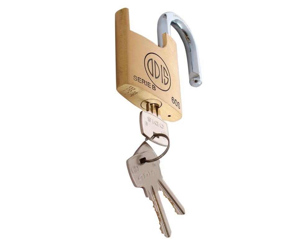 Candado seguridad exterior bronce 60mm B60S Odis-2