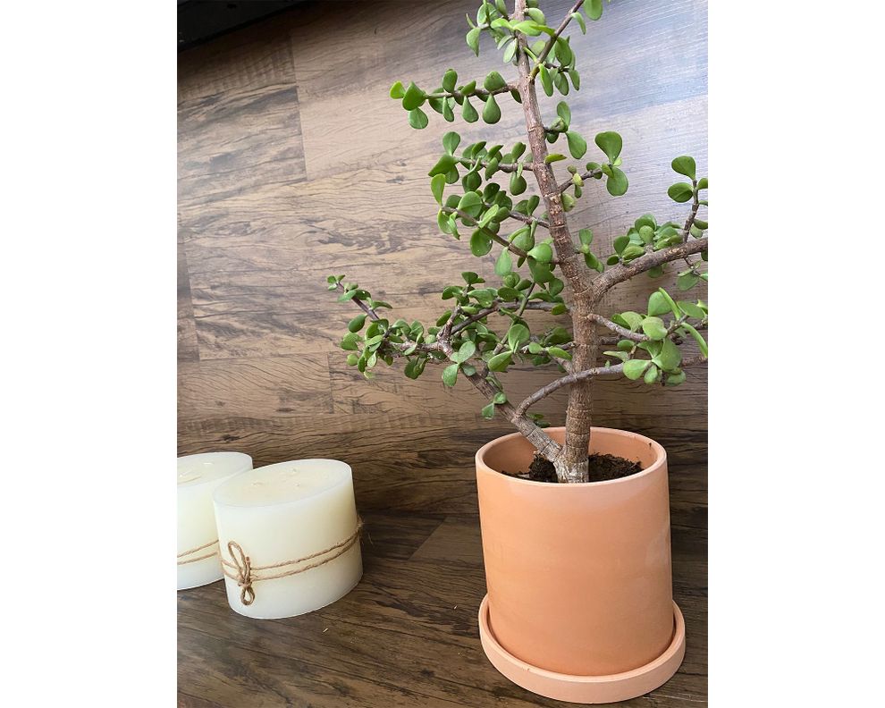 Macetero M Cilindro terracota Decogreen-2