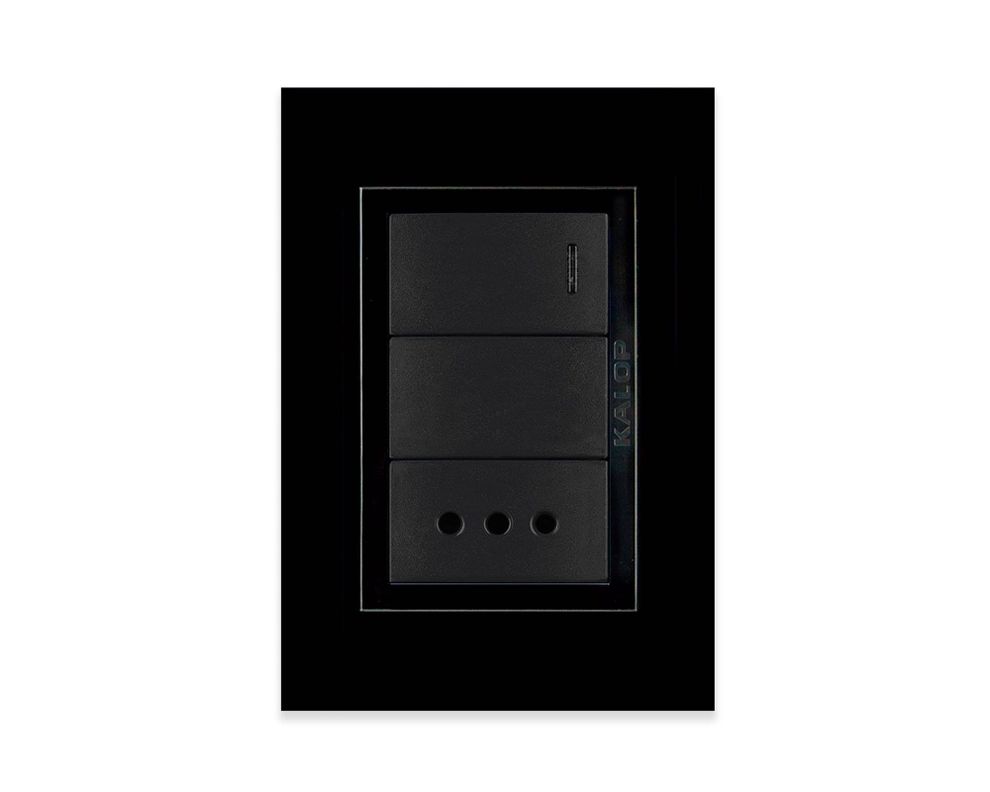 Enchufe doble 10A + Interruptor 9/12 Zen basic armado negro-0