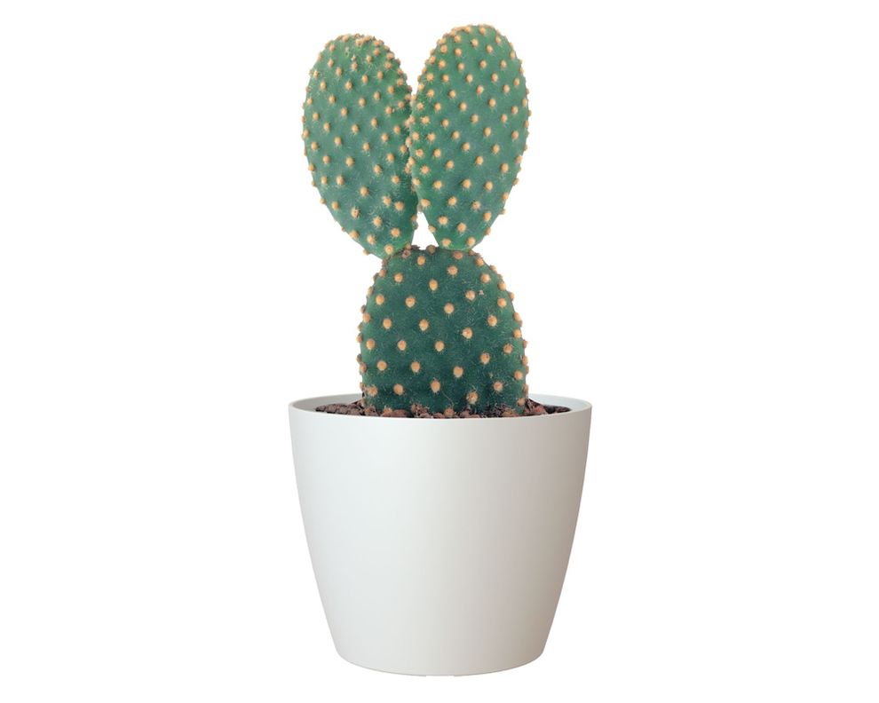 Maceta 30 cm San remo liso blanco-1