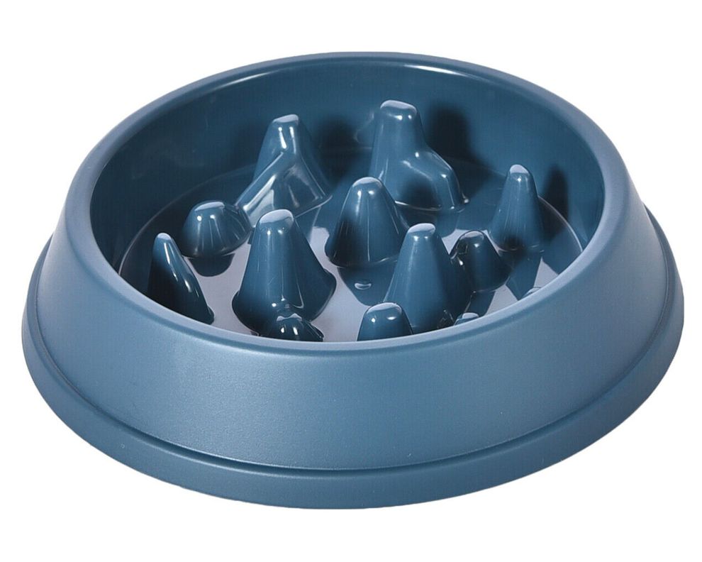 Plato mascota 500 ml Anti ahogo azul-0