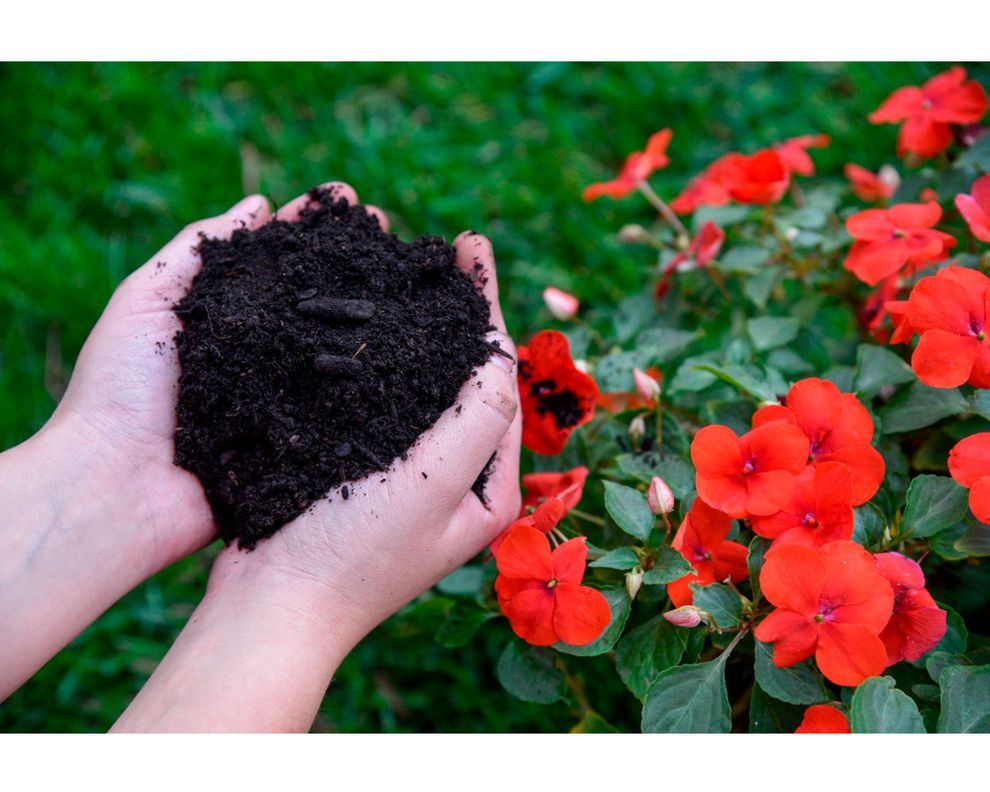 Tierra de hojas 40 litros natural-2