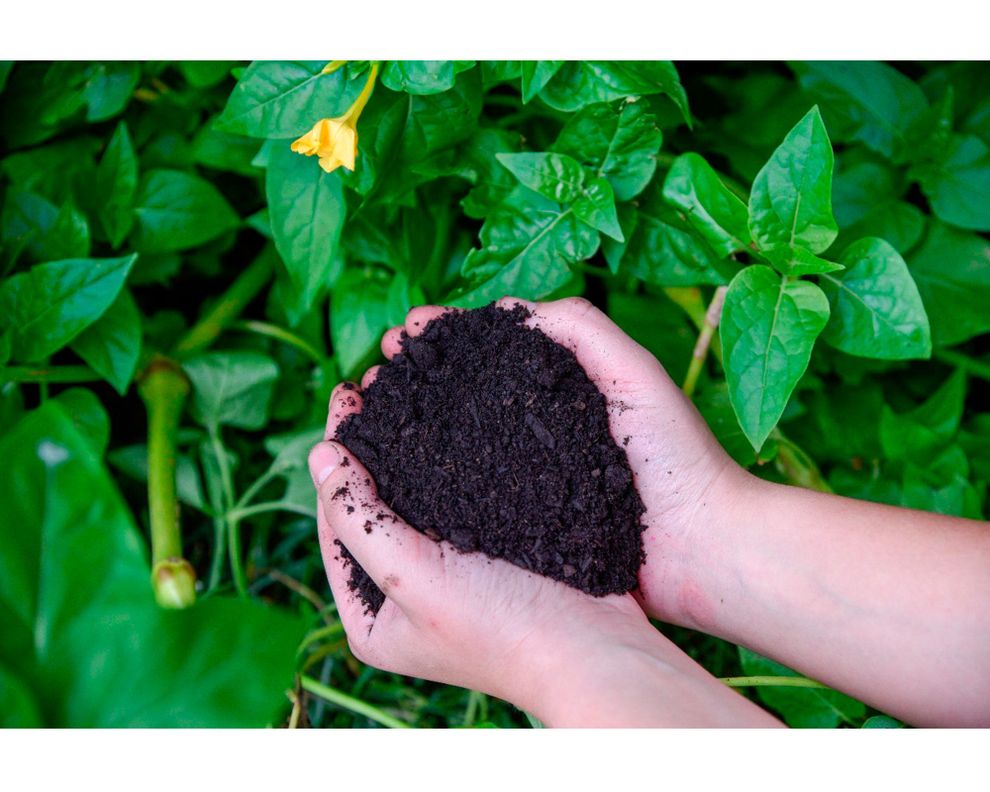 Tierra con abono 6 litros natural-2