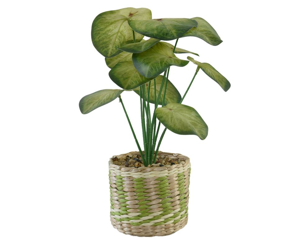 Planta decorativa artificial México D1
