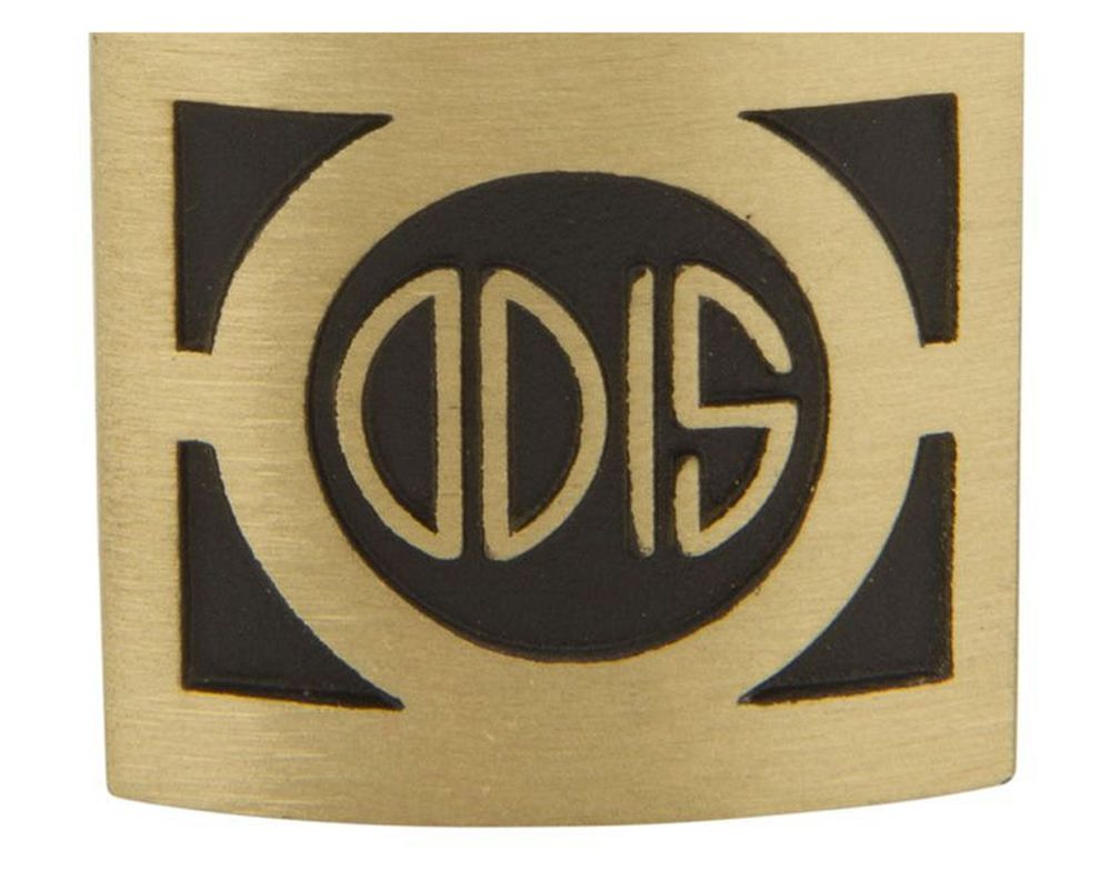 Candado interior/exterior bronce 30mm S300 Odis-2