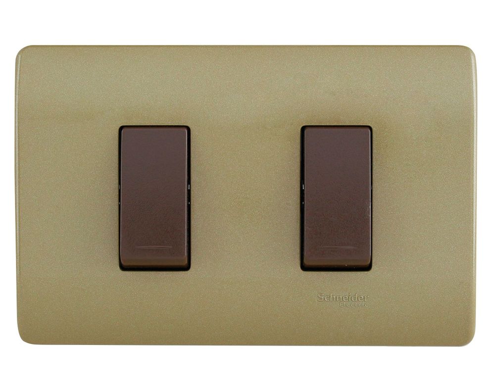 Placa armada interruptor 16A 9/15 Génesis dorado Schneider-0