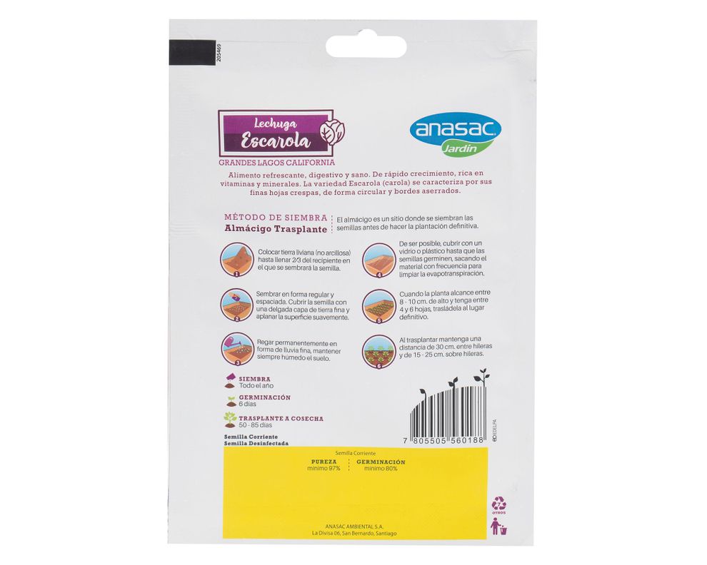 Semilla lechuga escarola 5 gr Anasac-1