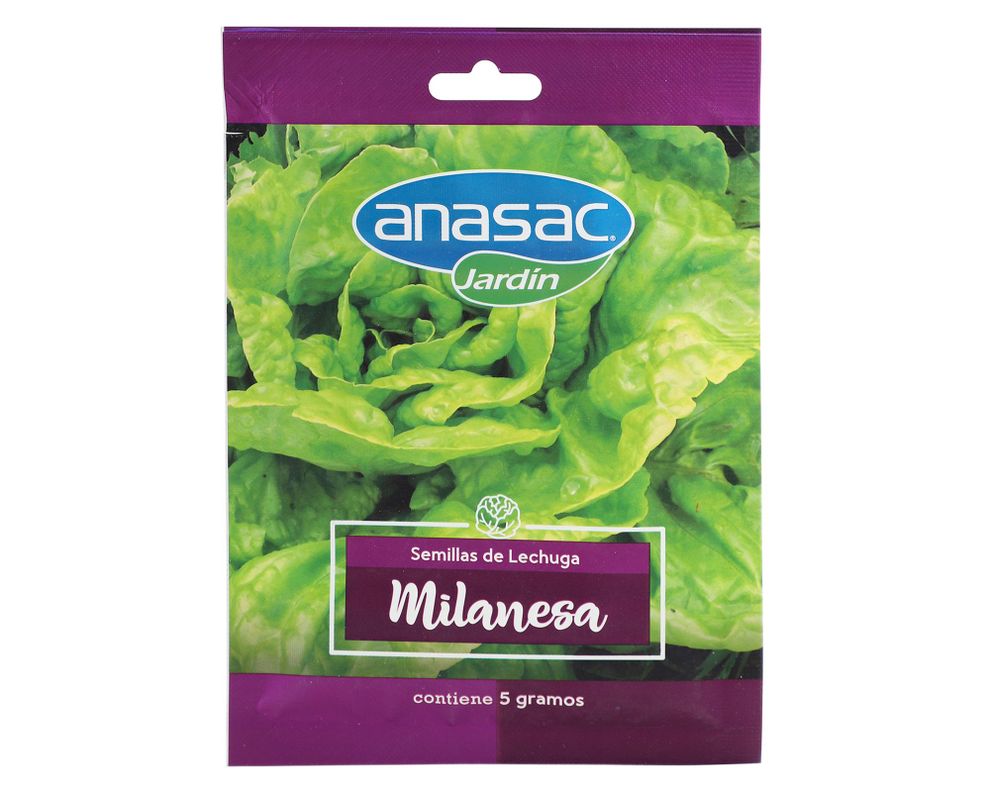 Semilla lechuga milanesa 5 gr Anasac-0