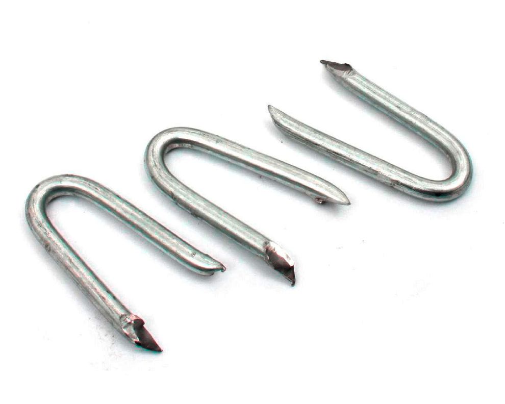 Grapa 11/2 x 8 100 gr blister Inchalam-1