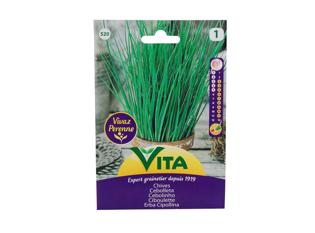 Semilla corriente cebolleta desinfectada x1g vita-0