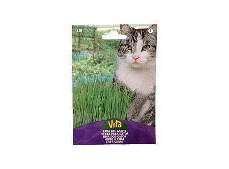 Semilla corriente hierba gatos desinfectada x10g vita-0