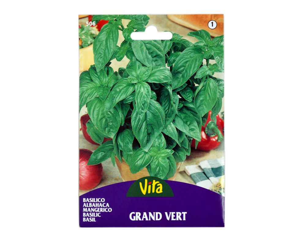 Semilla corriente albahaca grande vita-0