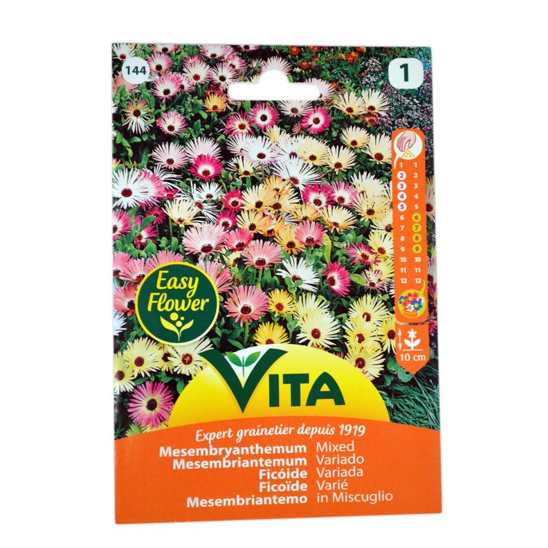 Semilla corriente mesembriantemum variado x1 g vita-0
