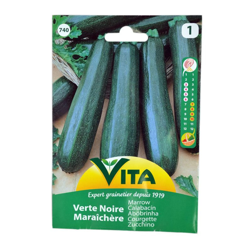Semilla corriente calabacín verte noire maraichere desinfectada x 5g vita-0