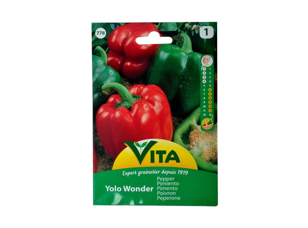 Semilla corriente pimiento yolo wonder desinfectada x 2g vita-0