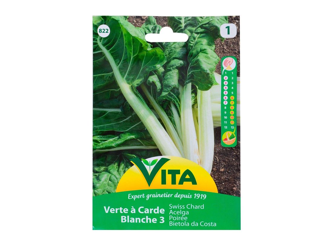 Semilla corriente desinfectada acelga verde penca blanca 3 vita-0