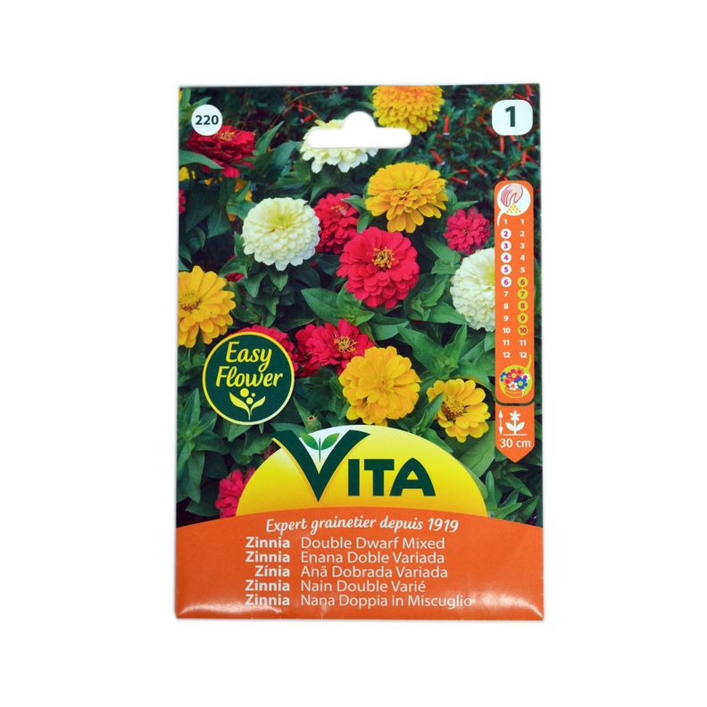 Semilla corriente zinnia enana doble variada desinfectada x2 g vita-0
