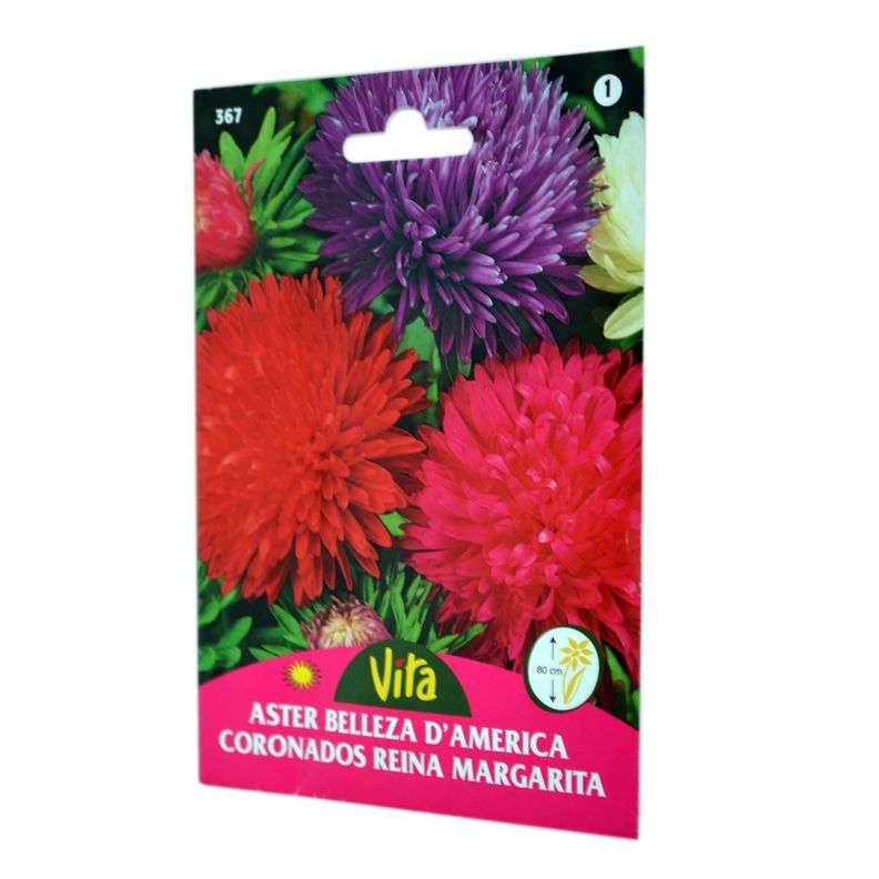 Semilla corriente reina margarita belleza variada desinfectada x0.8g vita-1